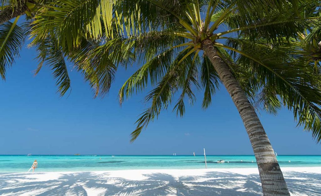 Holiday Blues